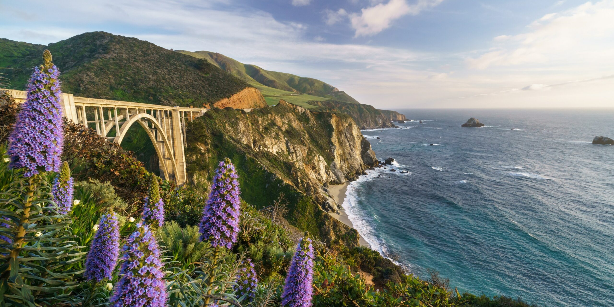 Beautiful Big Sur California Join in an Overview